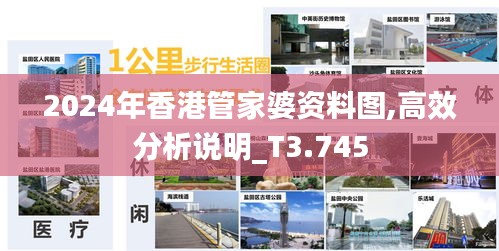 2024年香港管家婆资料图,高效分析说明_T3.745