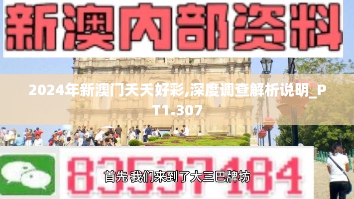 2024年新澳门夭夭好彩,深度调查解析说明_PT1.307