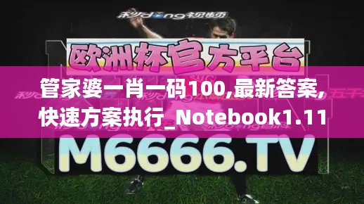 管家婆一肖一码100,最新答案,快速方案执行_Notebook1.112