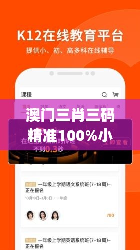 澳门三肖三码精准100%小马哥,诠释分析解析_yShop9.136