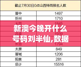 新澳今晚开什么号码刘半仙,数据解答解释定义_DP8.146