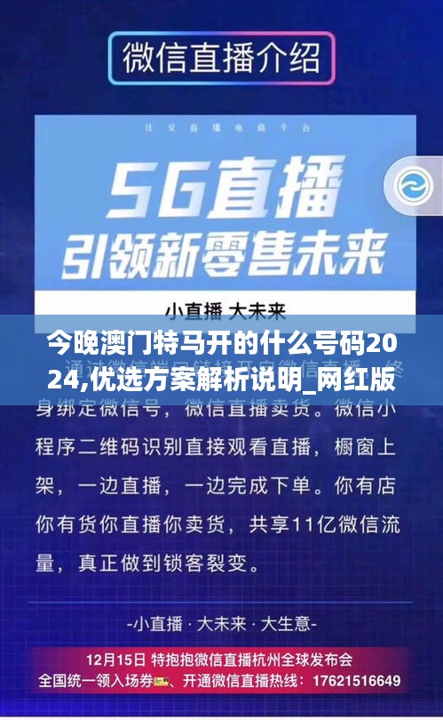 今晚澳门特马开的什么号码2024,优选方案解析说明_网红版1.459