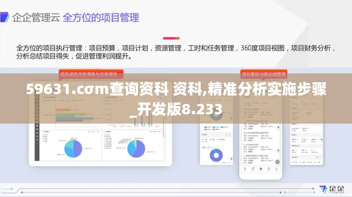 59631.cσm查询资科 资科,精准分析实施步骤_开发版8.233