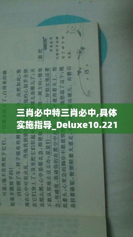 三肖必中特三肖必中,具体实施指导_Deluxe10.221