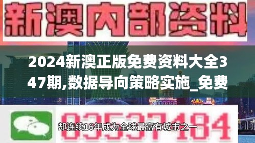 2024新澳正版免费资料大全347期,数据导向策略实施_免费版18.111