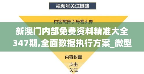 新澳门内部免费资料精准大全347期,全面数据执行方案_微型版6.164