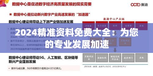 2024精准资料免费大全：为您的专业发展加速