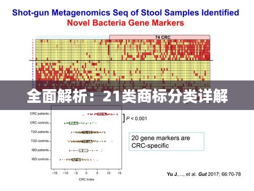 全面解析：21类商标分类详解