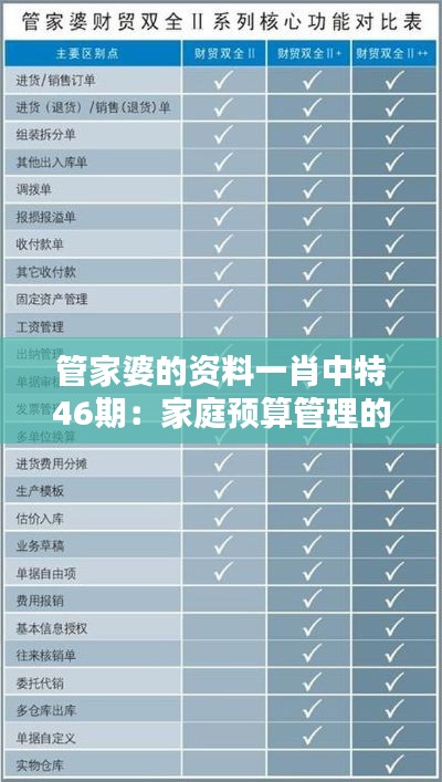 管家婆的资料一肖中特46期：家庭预算管理的实用技巧