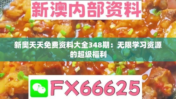 新奥天天免费资料大全348期：无限学习资源的超级福利