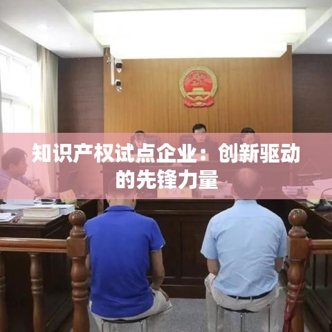 知识产权试点企业：创新驱动的先锋力量