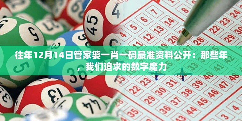 往年12月14日管家婆一肖一码最准资料公开：那些年，我们追求的数字魔力