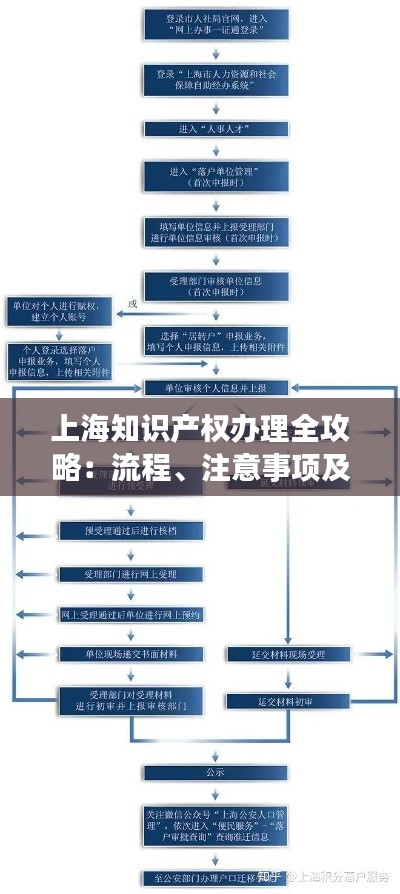 上海知识产权办理全攻略：流程、注意事项及常见问题解答