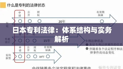 日本专利法律：体系结构与实务解析