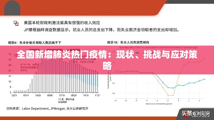 全国新增肺炎热门疫情：现状、挑战与应对策略