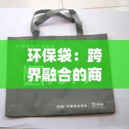 环保袋：跨界融合的商品类别解析