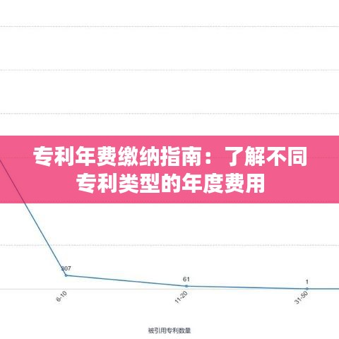 专利年费缴纳指南：了解不同专利类型的年度费用