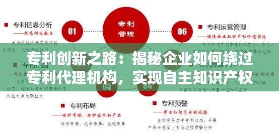 专利创新之路：揭秘企业如何绕过专利代理机构，实现自主知识产权保护