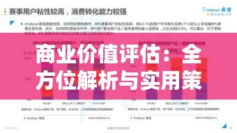 商业价值评估：全方位解析与实用策略