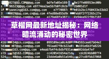 草榴网最新地址揭秘：网络暗流涌动的秘密世界