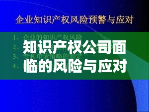 知识产权公司面临的风险与应对策略