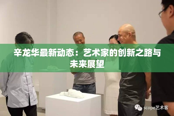 辛龙华最新动态：艺术家的创新之路与未来展望