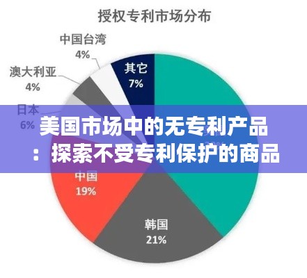 美国市场中的无专利产品：探索不受专利保护的商品世界