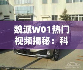 魏派W01热门视频揭秘：科技与时尚的完美融合