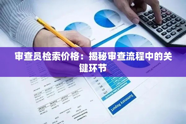 审查员检索价格：揭秘审查流程中的关键环节