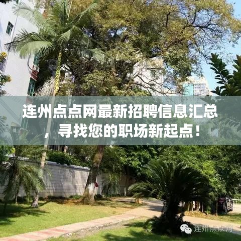 连州点点网最新招聘信息汇总，寻找您的职场新起点！