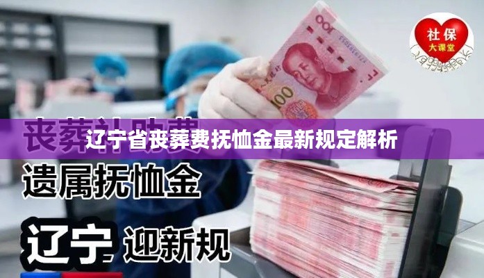 辽宁省丧葬费抚恤金最新规定解析