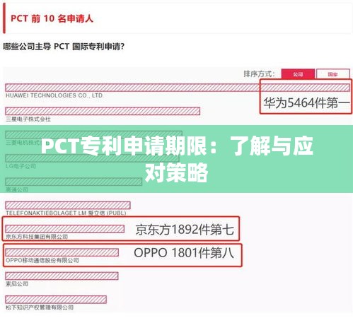 PCT专利申请期限：了解与应对策略