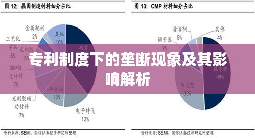 专利制度下的垄断现象及其影响解析