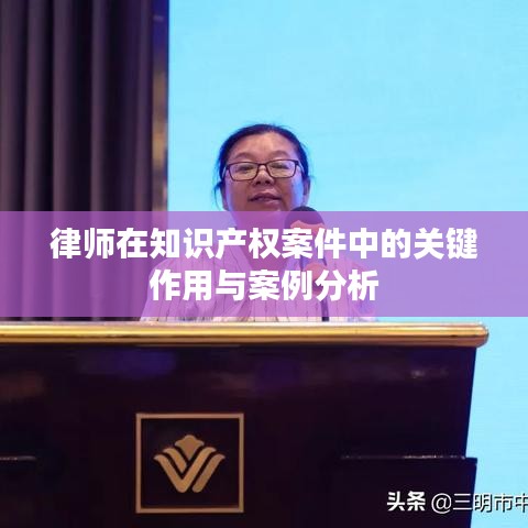 律师在知识产权案件中的关键作用与案例分析