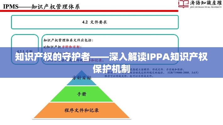 知识产权的守护者——深入解读IPPA知识产权保护机制