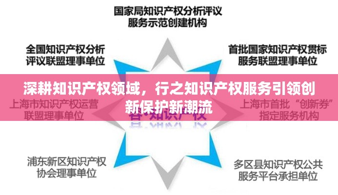 深耕知识产权领域，行之知识产权服务引领创新保护新潮流