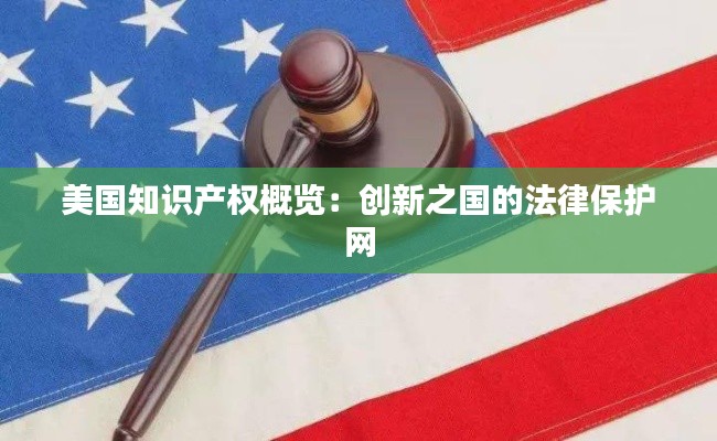 美国知识产权概览：创新之国的法律保护网