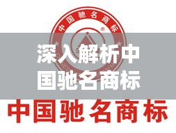 深入解析中国驰名商标：定义、价值与保护