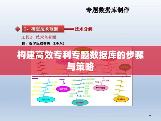 构建高效专利专题数据库的步骤与策略