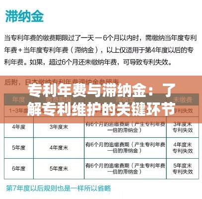 专利年费与滞纳金：了解专利维护的关键环节