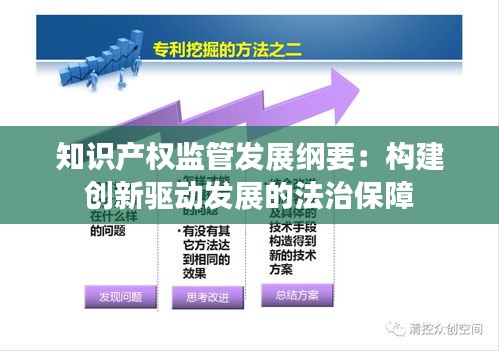 知识产权监管发展纲要：构建创新驱动发展的法治保障