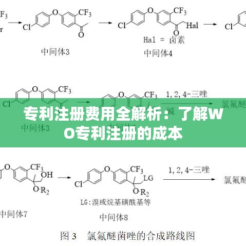 专利注册费用全解析：了解WO专利注册的成本