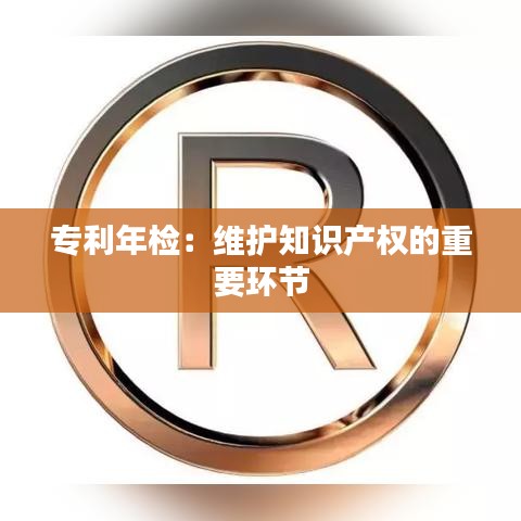 专利年检：维护知识产权的重要环节