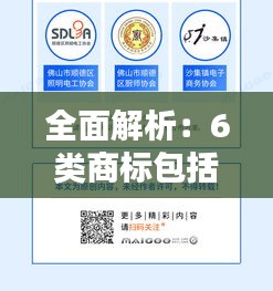 全面解析：6类商标包括哪些内容与特点