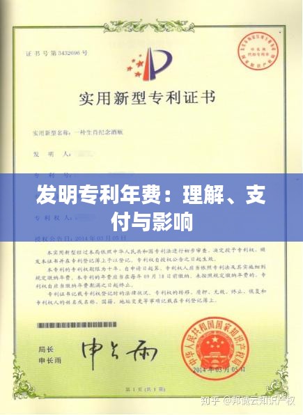 发明专利年费：理解、支付与影响