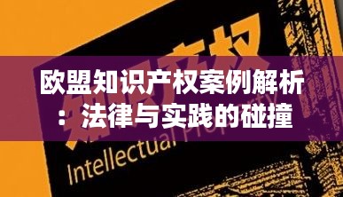 欧盟知识产权案例解析：法律与实践的碰撞