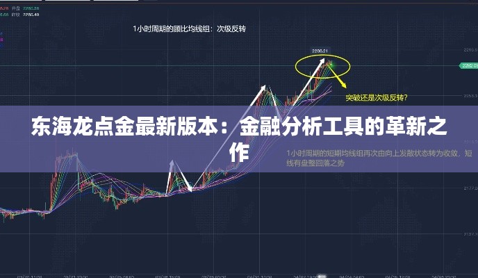 东海龙点金最新版本：金融分析工具的革新之作