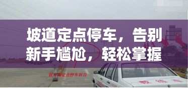 坡道定点停车，告别新手尴尬，轻松掌握停车技巧