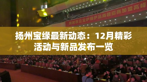 扬州宝缘最新动态：12月精彩活动与新品发布一览