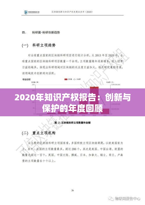 2020年知识产权报告：创新与保护的年度回顾